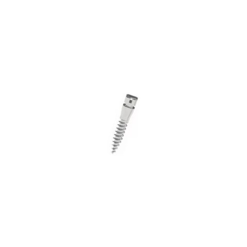 Mini Implant autoforant Dual Slot Cap Scurt D2 L8 Leone